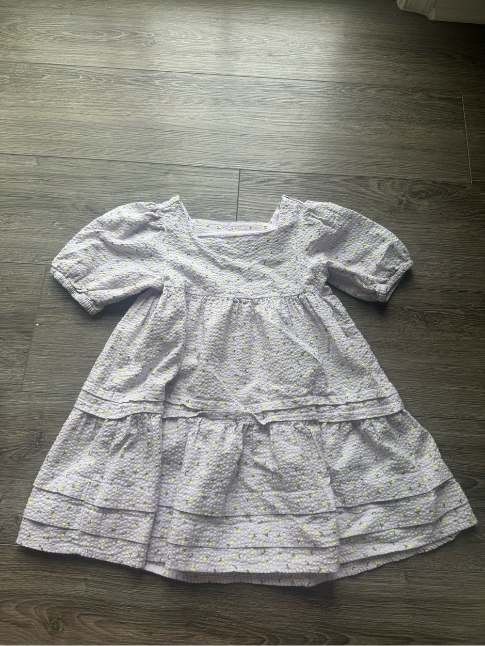 Hanna Andersson Girls Size 4 Purple Seersucker Floral Fit & Flare Ruffle Dress